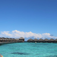 唐唐说电影: 最毒辣的女神 少女杀手爱上老实人