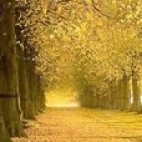 耿直的赵丽颖,芭莎慈善晚宴捐完钱坐下就一直