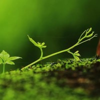 最贵是健康健康歌曲