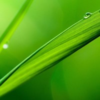 韩国悬疑电影《卑贱》2