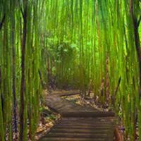 东方不败被令狐冲打败受伤后,被风清扬救下,这