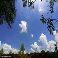 《狄仁杰之四大天王》自制超长混剪预告片花絮