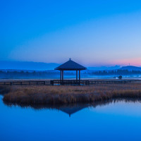 抖音萝莉炫富 被光头大叔突然抱起 网友;大叔手