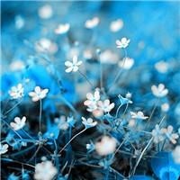 电视剧归去来花絮:罗晋捧着蛋糕为唐嫣庆生,羡