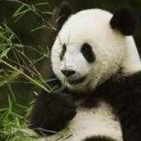 我的前半生:陈俊生这甩衣服姿势有点帅,被这句