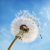 王者荣耀搞笑视频之西游记