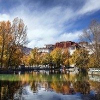 黑色婚纱代表爱情忠贞,整个婚礼现场充斥着浪