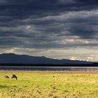 蔡澜叹名菜:蔡澜调侃曾志伟是他请客,曾志伟:应