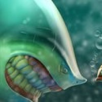 好样的!王简嘉禾破女子400米自由泳短池世界纪录