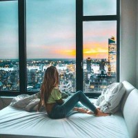 世界上最会碰瓷的动物,胆小如鼠,看见它可爱的