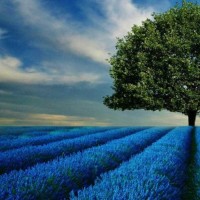 吴谨言谈魏璎珞,从她身上学到很重要一点,在对