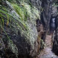 穿越女穿越回古代,带出现代武器,古代人懵了