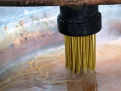 枸杞桑葚干泡水喝可以吗 功效又如何