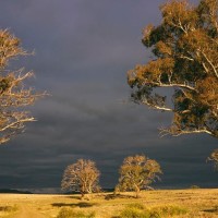 《创造101》王思聪公司女艺人衣服一看就很贵