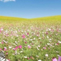 刺激战场:一群人打麻将不叫我,我送他们一颗