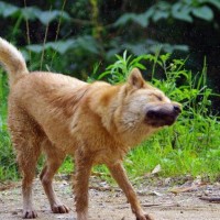 最新电影《奇门遁甲》掌门周冬雨变身妖人!大