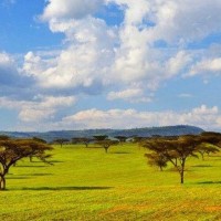 刺激战场:老撕鸡和随风一起挑战喷子吃鸡,结局