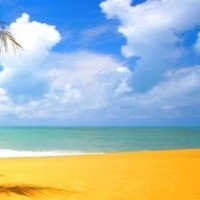 豪情壮志在我心的个人频道