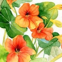 张家辉太霸气了, 一边打麻将一边清理门户, 老大