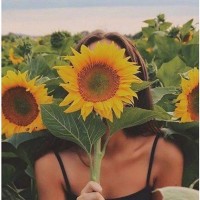 《萌妃驾到》看金晨一脸崇拜的眼神看着初恋,