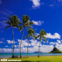 哥斯拉检阅恐龙怪兽大军动漫特效