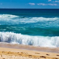 《名侦探柯南》小兰和柯南一起走鬼屋,小兰吓