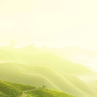 一部十分震撼的国产战争电影,西路军血战临泽