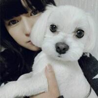 韩国节目:谈世界第一,以为是韩国,想不到这几个