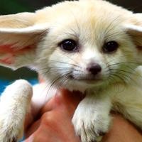 王凯再度开嗓,与徐静蕾合唱一首《滚滚红尘》