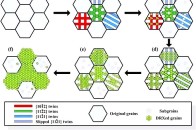 加拿大工程院院士陈道伦&同济冯艾寒教授Ac