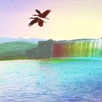 温兆伦深情演唱《随缘》多少人的回忆,太经典