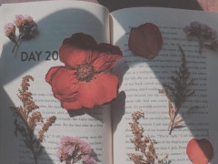 经典句子说说,句句透彻