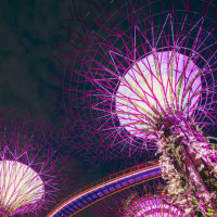 张一山不愧是学霸,现场玩成语接龙把清子整坏