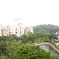 我们一起学猫叫,原版MV《学猫叫》,画面温馨浪