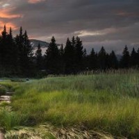 陈立农抽筋拉伤,林超泽许凯浩秒按摩师