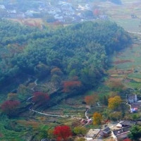 2018最火网络游戏排行,相信每个玩家心中都会