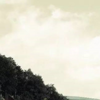 天天向上买菜的时候,中国人数学吓到老外了