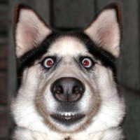 邓超原来就是搞笑天才,邓超艺考视频放出,全场