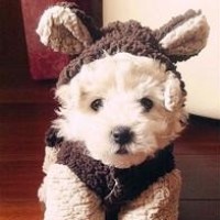 搞笑:男子在女友面前发誓,遭遇雷劈