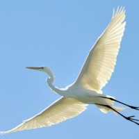 张雨绮二婚老公家暴?口角纠纷导致肢体冲突,直