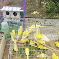 乐享玩聚 第114集 百变变形汽车人!