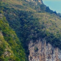 比伯海莉宣布订婚 赛琳娜不受影响出海度假