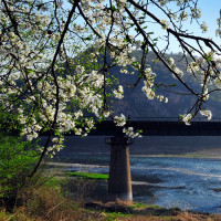 沈阳停车缴费正式调整,事关所有车主!你可千万