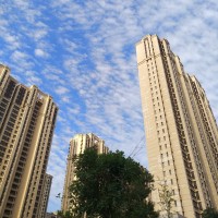 王珞丹和偶像朴树合唱《清白之年》,浅吟低唱