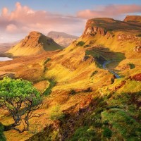 落花电影剧场的个人频道 - 专辑列表