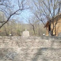 夜天子:小天着急娶媳妇,就是见不到丈母娘