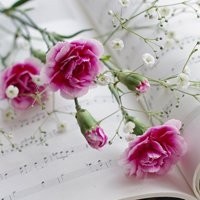 巨人马克伊顿 VS 奥胖! NBA2K19