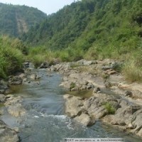 鹿晗说热巴要上热搜,果然上了!