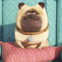 爱情公寓4搞笑片段:曾小贤和胡一菲为了关谷和