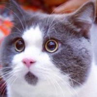 00后软妹子《可爱摇》年轻真好